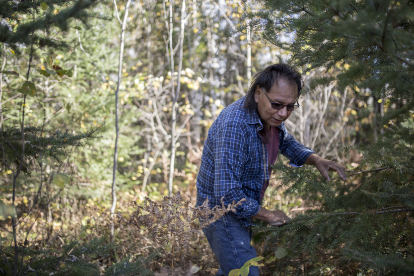 Clifford Swain, brother of Phillip, walks through the forest where his younger brothers body is buried near the community of Grassy Narrows, Ontario. (Photograph by Nick Iwanyshyn)