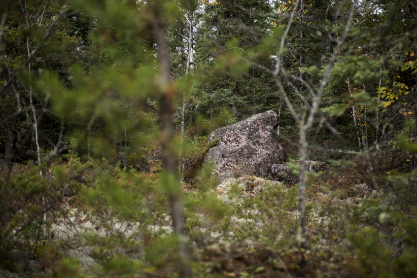 The rock where RoderickÕs body was found near the community of Grassy Narrows, Ontario. (Photograph by Nick Iwanyshyn)